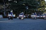 Dcim9779/DSC_2464
