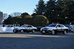 Dcim9779/DSC_2528