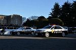 Dcim9779/DSC_2529