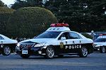 Dcim9780/DSC_2594