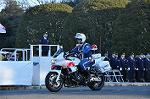 Dcim9780/DSC_2701