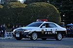 Dcim9781/DSC_2728