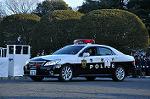 Dcim9781/DSC_2729