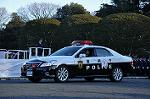 Dcim9781/DSC_2730