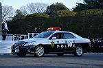 Dcim9781/DSC_2731