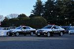 Dcim9781/DSC_2732