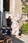 Dcim9784/DSC_3224
