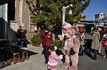 Dcim9784/DSC_3238