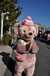 Dcim9784/DSC_3245