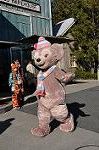 Dcim9785/DSC_3367