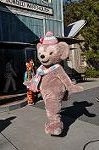 Dcim9785/DSC_3368