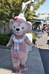 Dcim9791/DSC_4204