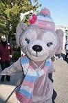 Dcim9791/DSC_4207