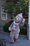 Dcim9792/DSC_4306