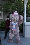 Dcim9792/DSC_4309