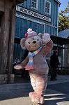 Dcim9792/DSC_4327