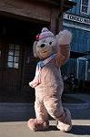 Dcim9792/DSC_4331