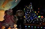 Dcim9797/DSC_4989