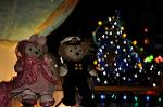 Dcim9797/DSC_4996