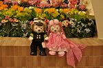 Dcim9800/DSC_5547