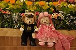 Dcim9800/DSC_5550