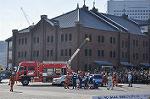 Dcim9807/DSC_6258