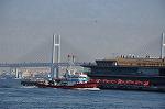 Dcim9807/DSC_6289
