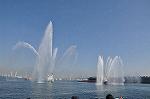 Dcim9808/DSC_6368