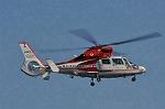 Dcim9809/DSC_6556