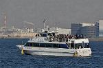 Dcim9809/DSC_6616