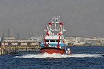 Dcim9810/DSC_6627