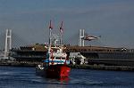Dcim9813/DSC_7103