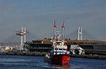 Dcim9813/DSC_7107