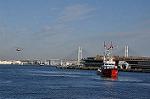 Dcim9813/DSC_7111