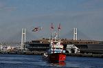 Dcim9813/DSC_7112