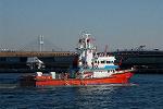 Dcim9816/DSC_1379