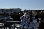 Dcim9817/DSC_7258