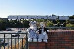 Dcim9817/DSC_7277