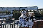 Dcim9817/DSC_7289