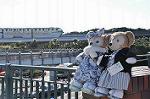 Dcim9817/DSC_7298