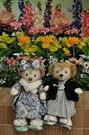 Dcim9818/DSC_7395