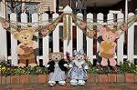 Dcim9819/DSC_7512