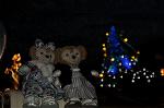 Dcim9824/DSC_8280
