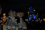Dcim9824/DSC_8281