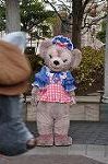 Dcim9831/DSC_9267