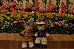 Dcim9841/DSC_0265