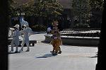 Dcim9842/DSC_0290
