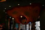 Dcim9845/DSC_0765