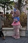 Dcim9846/DSC_0876