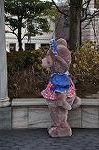 Dcim9846/DSC_0897